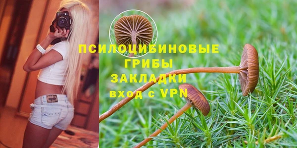 кокаин перу Богданович