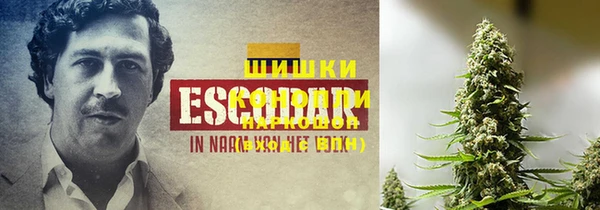 МДПВ Богородицк
