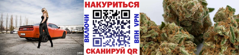 Каннабис план  наркотики  Тула 